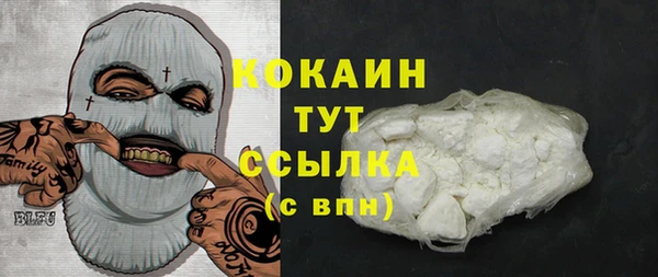 стаф Аркадак