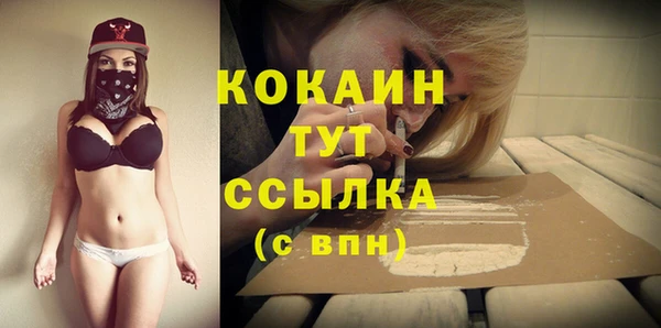шишки Арсеньев