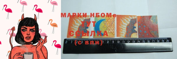 стаф Аркадак