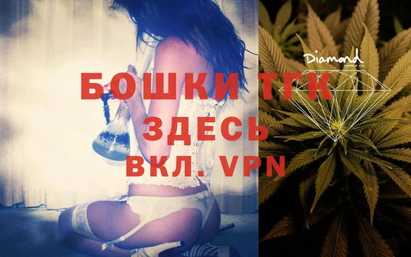 стаф Аркадак