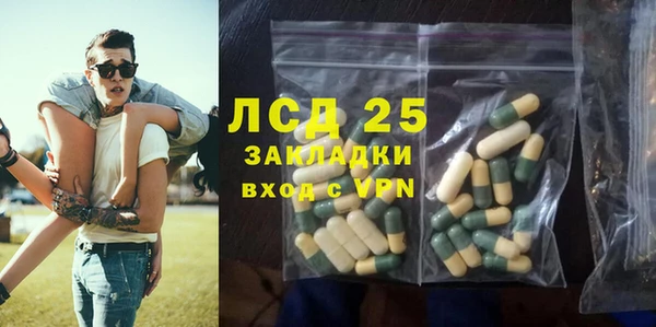 шишки Арсеньев