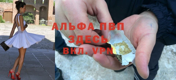 стаф Аркадак